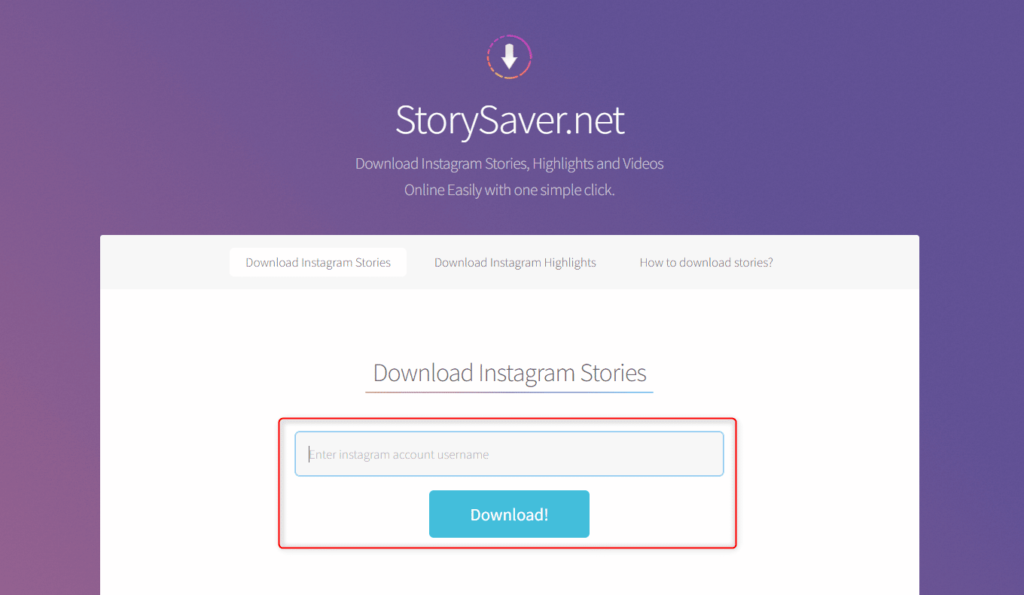 Story Saver Net